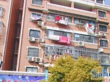 妙城公寓 3室2厅 南