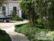 稀有3房,浦东大道双线,黄浦江,紧邻陆家嘴,梅园建平航母