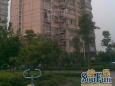 房东诚心出售 中上楼层电梯房 视野无遮挡 户型方正