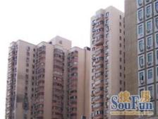 振新大厦3室南朝向980.00万元/套出售