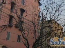 满五 中间楼层 精装领包入住 公园旁 双轨交