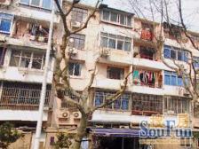 宝钢七村 3室0厅 南