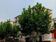 彭浦·平顺路825弄·2室·1厅