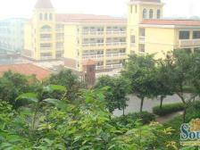 金阳罗马假日 3室1厅 西南