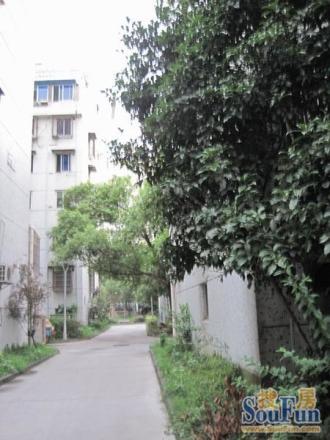 文苑小区