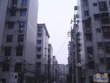 洪都新村 南北通透,采光好 近地铁 视野好,诚心出售