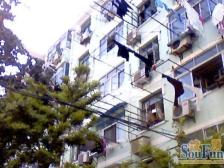 ·乳山三村精装一房采光好近陆家嘴业主诚售可谈租金五仟