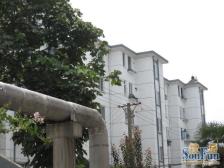 新上盘溪新村一楼院子 总价低 院子开门诚心卖价格好谈