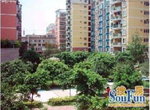 蔚蓝天地二期 2室2厅 南