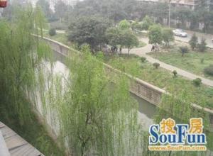 锦红苑3室1厅东南