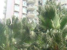 光电路 昌龙城市花园二房