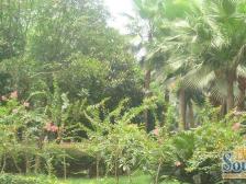 环线海峡路 四房 朝中庭 居家安静