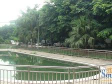 业主诚心卖,住家装修,单价总价低,视野采光好