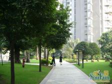 南滨路 湿地公园旁 一线江景5房