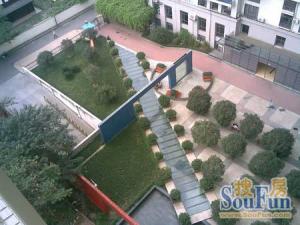 流星花园 1室1厅 东北