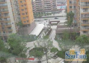 流星花园 1室1厅 东北