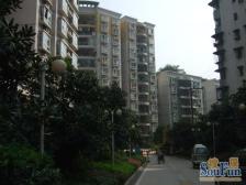 映江花园 精装大二房 精装修