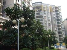 映江花园 3室2厅 东