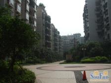 映江花园 3室2厅 南