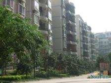 滨江路 配套完善 采光好 全江景 大3房