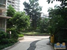 映江花园 3室1厅 北