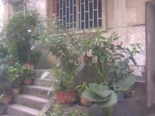 林荫村 2室1厅 南