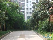 马王坪映江花园3房端户诚信卖楼层适中