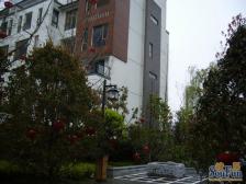 新上内圈精装洋房顶跃带车位带露台