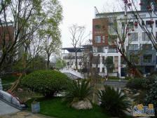 金科东方王榭 5室1厅 北 南