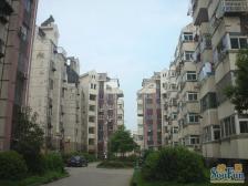 京东小区A区 南北通透,采光好 近地铁 视野好,诚心出售