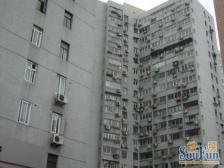 华山路武康路上的市政干部分房高区景观 通风很好!