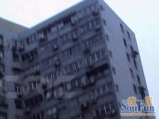 华山路武康路上的市政干部分房高区景观 通风很好!