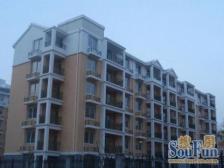 带露台,采光好 随时看房 家具全送 新上房源