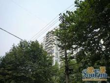 满五唯一,正规三房,低楼层,户型采光都很好!