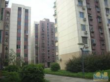 北京东路 京东小区 南北通透 房 豪华装修 阳光充足