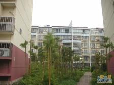 全天太阳 采光充足 精装修房东没住过的