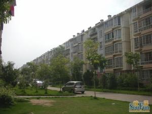 1南1北,客厅通阳台,不靠马路