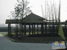 高架旁+示范线在建+阳光房+露台+车库储藏间