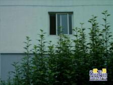 草桥旁,顶带阁视野好,从未出租过