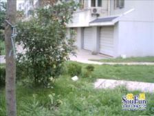 汇翠花园顶复南北通透采光视野佳