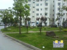 新上· 新天地家园南区 两房,低楼层,低总价