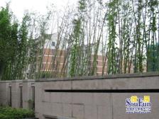 夏园新村新上两房,小区中间位置,带自行车独库且唯一