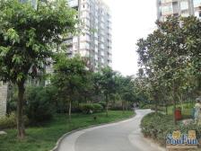 买一套得两套 空港广场轻轨3号线旁