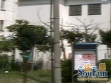 精装修,华夏西,小三房,交通便利,配套齐全