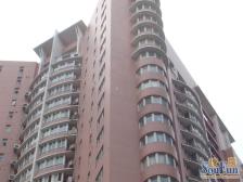 近地铁 无抵押 电梯房,新上房源