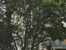 18号北中路站50米 20万精装修领包入住 高区采光明亮