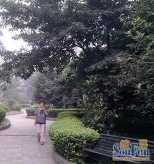 聚贤半岛花苑2室1厅西南