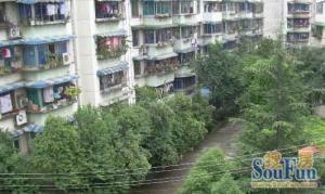 交大广厦小区4室2厅南北