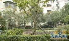 交大广厦小区5室2厅东南