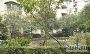 交大广厦小区4室2厅南